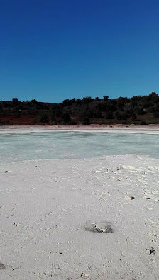 Bird Watching in Decima Malafede Nature Reserve, Rome Tours 2024