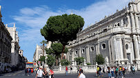 Discover Catania's Piazza del Duomo: Top Attractions in Italy Tours