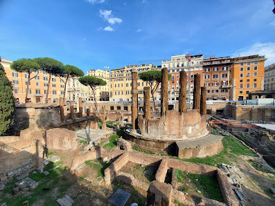 Explore Ancient Ruins at Largo di Torre Argentina in Rome, Italy Tours