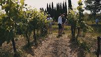 Chianti Cycling Tours: Explore Florence's Italian Vineyards in 2024