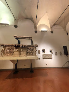 Discover Bologna's Medieval Museum: Top Italy Tours & Italian Culture