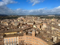 Discover the Charming Piazza del Campo in Siena