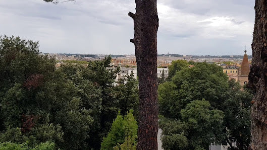 Discover Villa Borghese Gardens: Top Things to Do in Rome, Italy