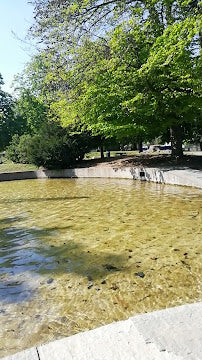 Explore the Parco del Valentino in Turin