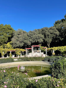 Explore the Stunning Miramare Castle on a Trip to Trieste