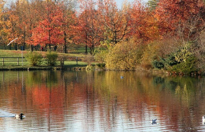 Relaxing Trip in Turin: Unwinding at Parco della Pellerina