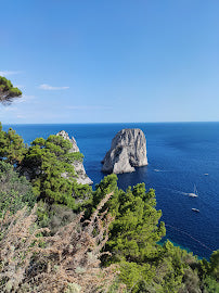 Savor Italian Dishes in Capri: Culinary Tours at Taverna Tragara