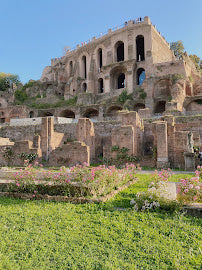 Explore Palatine Hill, Rome: Top Attractions & Italy Tours 2024