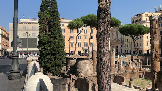 Explore Ancient Ruins at Largo di Torre Argentina in Rome, Italy Tours