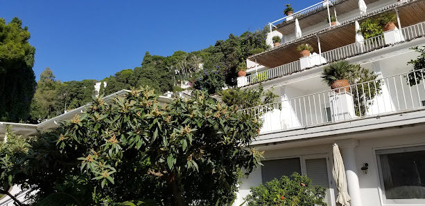 Capri Tours 2024: Stunning Views from Terrazza Brunella, Italy