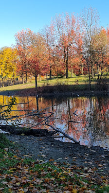 Relaxing Trip in Turin: Unwinding at Parco della Pellerina