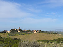 Chianti Cycling Tours: Explore Florence's Italian Vineyards in 2024