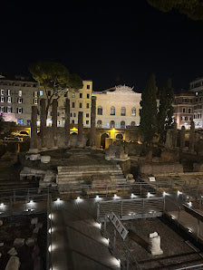 Explore Ancient Ruins at Largo di Torre Argentina in Rome, Italy Tours