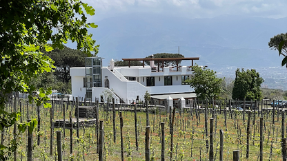 Wine Tasting on Mount Vesuvius Estates, Naples