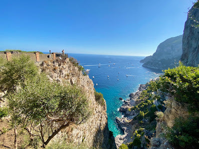 Discover Augustus Gardens in Capri: Top Italy Tours & Travel Tips