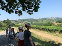 Chianti Cycling Tours: Explore Florence's Italian Vineyards in 2024