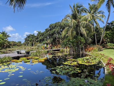 Botanical Gardens of Naples