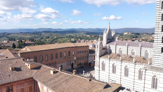 Discover the Beautiful Piccolomini Library in Siena