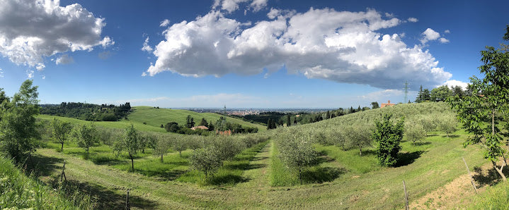 Biking in Parco dei Gessi: Top Things to Do in Bologna, Italy