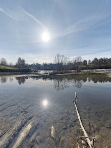 Relaxing Trip in Turin: Unwinding at Parco della Pellerina