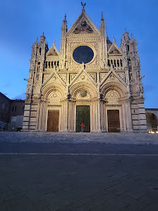 Discover the Santa Maria della Scala in Siena